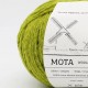 Mota